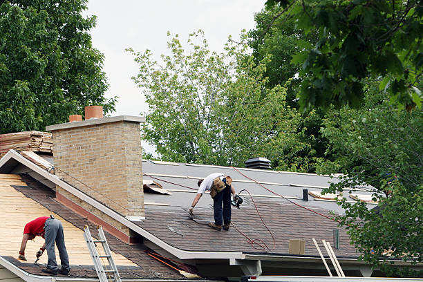 Best Storm Damage Roof Repair  in Campbell, FL